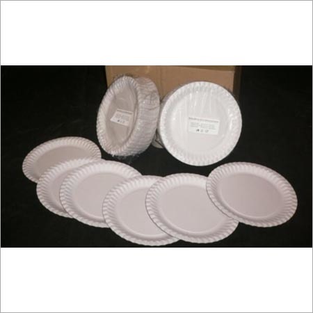 White Paper Plate