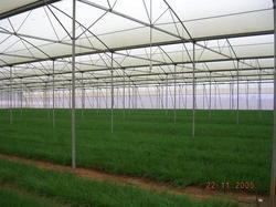 Open Vent Poly House