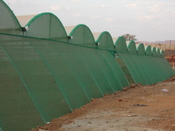 Tunnel Type Poly House