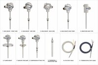 Rtd Thermocouples - Color: Silver