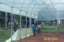 Naturally Ventilated Poly House