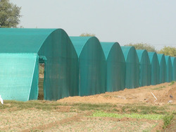 Tunnel Type Net House