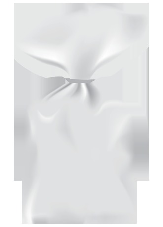 PP For Bread Packaging