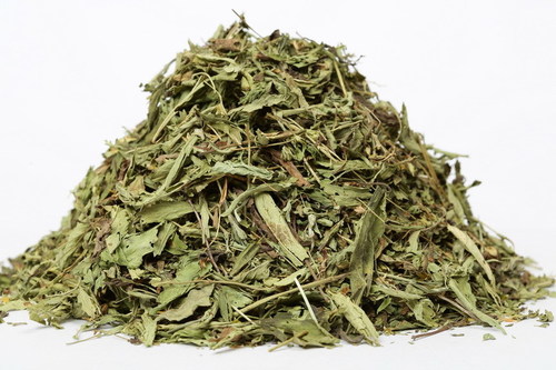 Herbal Product Stevia Leaves