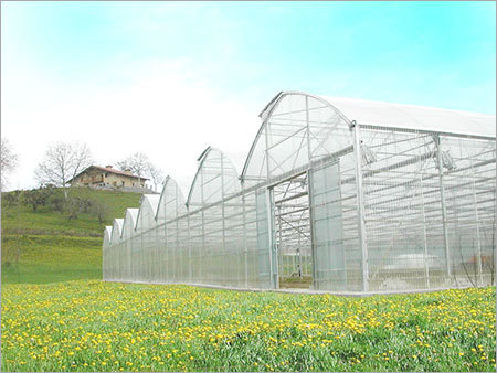 Multi Span Greenhouse