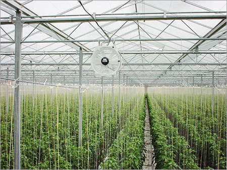 Fan Greenhouse