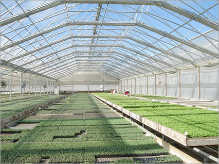 Naturally Ventilated Greenhouse