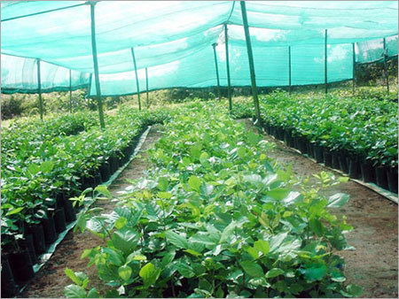 Shade Net Houses