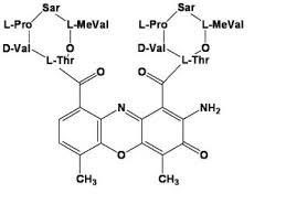 DACTINOMYCIN