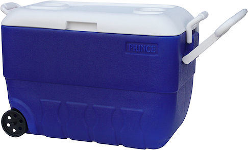 Princeware Ice Box