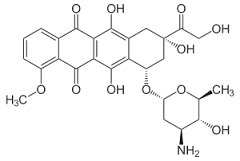 EPIRUBICIN