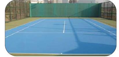 Lawn Tennis Court