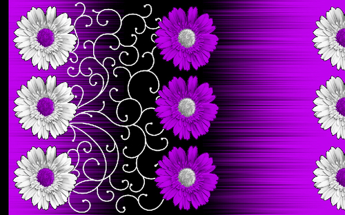 Cotton textile fabrics