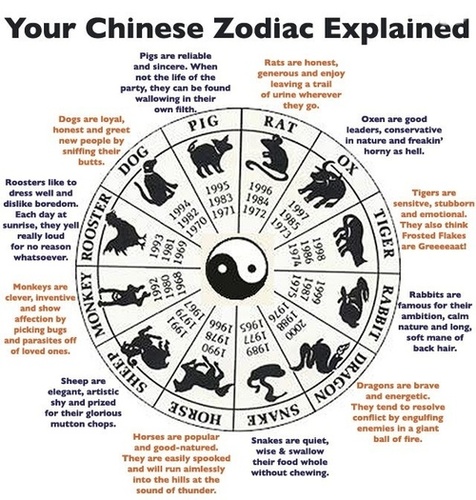 Chinese Astrology