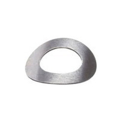 Silver Curved Spring Washers