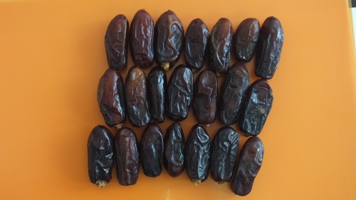 Dark Brown Rabbi Date