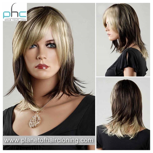 Lace Front Wigs