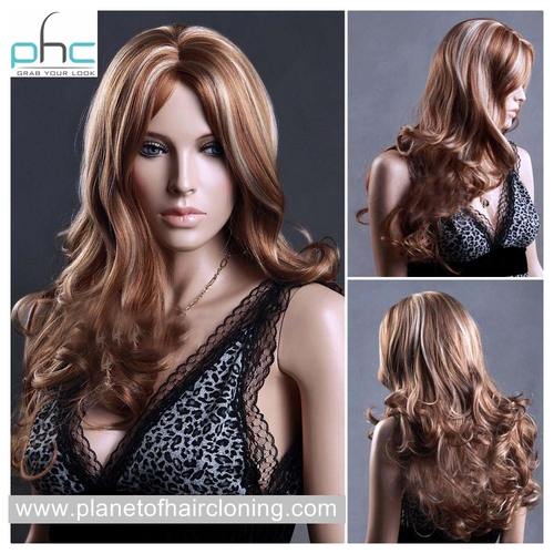 Human Hair Wigs