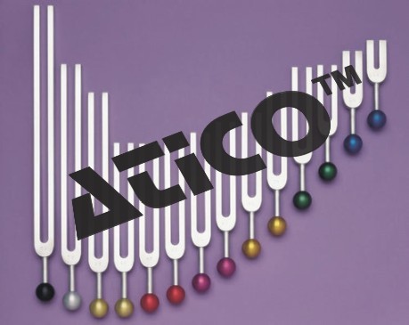 Tunning Fork with Rubber Pad