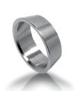 Stainless Steel Front Ferrule