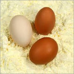 Whole Egg Powder
