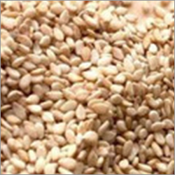Organic Seeds