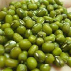 Green Mung Bean