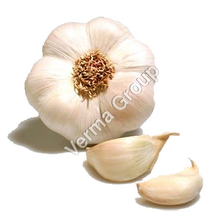 Garlic Co2 Extract Oil