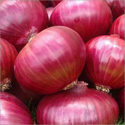 Fresh Red Onions
