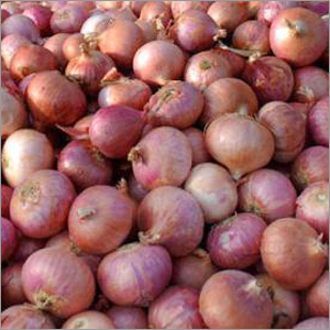 Indian Onion