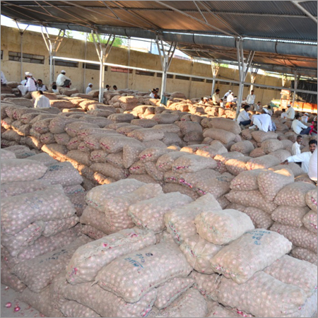 Warehouse of Onion