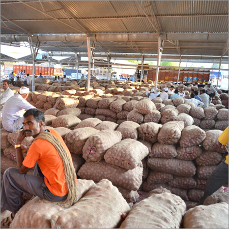 Warehouse of Onion