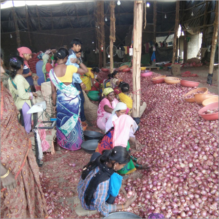 Warehouse of Onion