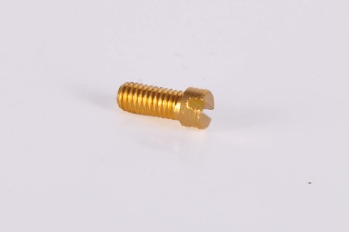 Slotted Brass Screw