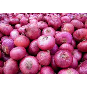 Fresh Onion