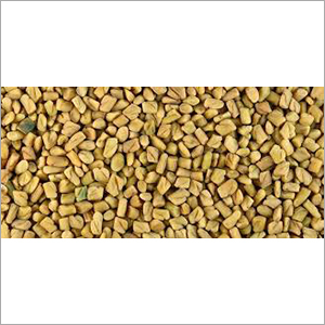Channa