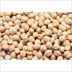 White Chickpeas