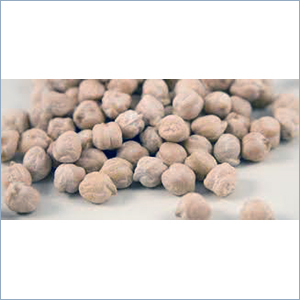 Organic White Chickpeas