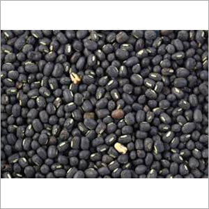 Black Urad Dal
