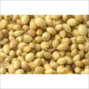 Ajwain
