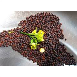 Organic Black Chickpeas - High Fiber and Protein Rich | Supports Bone Health, Heart Wellness, and Antioxidant Defense