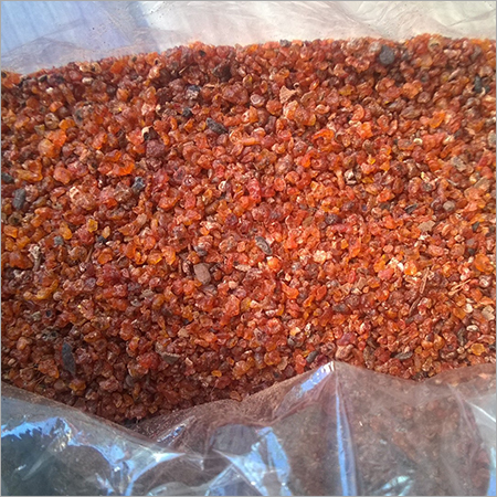 Button Seed Lac