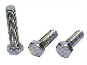Stainless Steel Hex Head Bolt