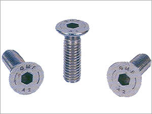 Stainless Steel Csk Socket Screw