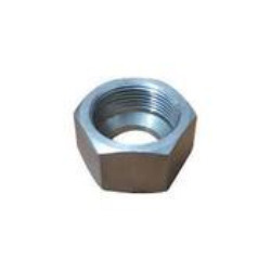 Stainless Steel 304L Nut