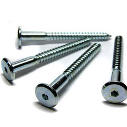 SS Wood Screw