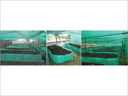 Vermi Beds