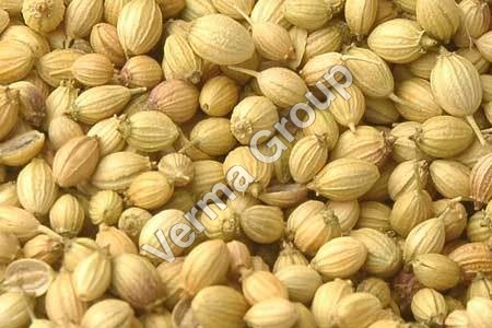 Coriander Oil Certified Organic