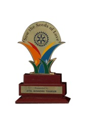 Metal Award Trophy