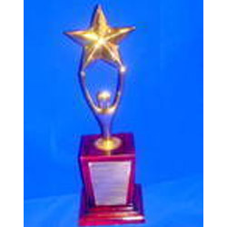 Metal Award Trophy